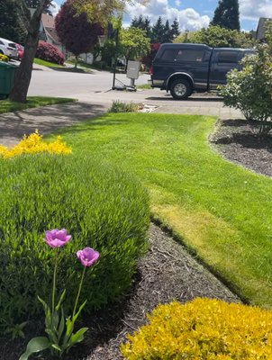 Garden Maintenance - Call us today Garden Maintenance - Call us today