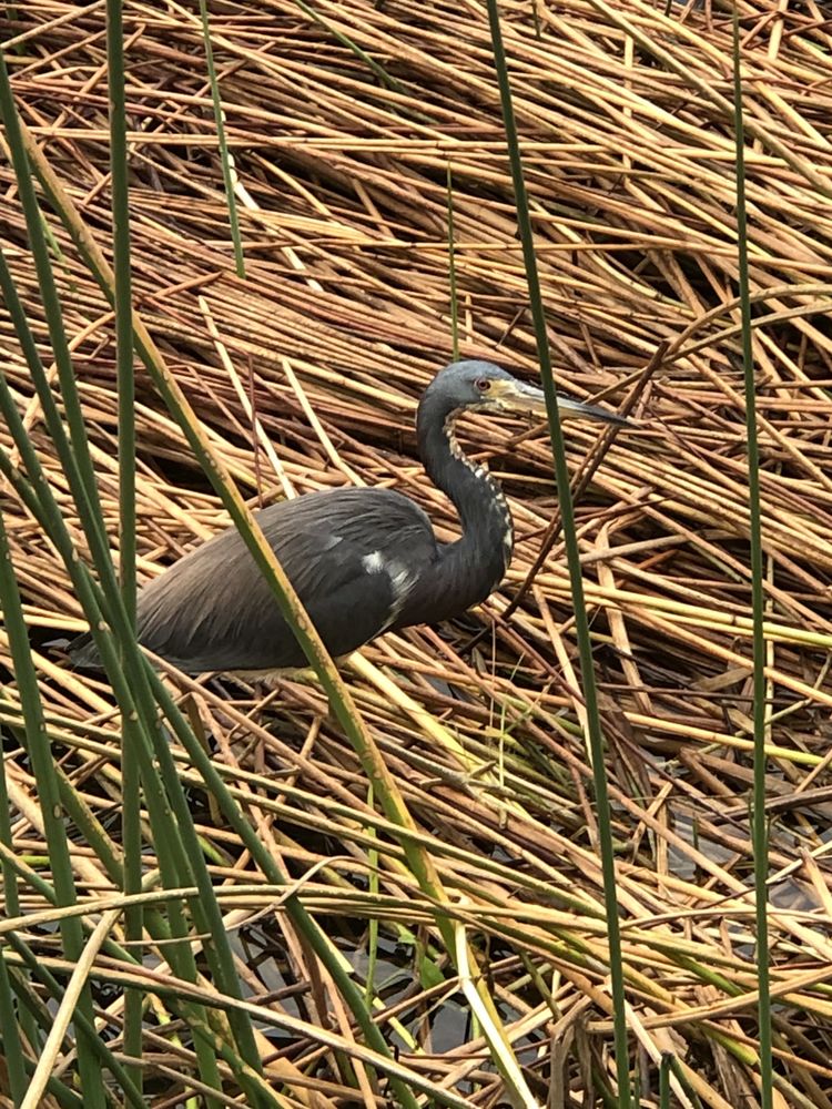 HISTORIC ROUND LAKE PARK Updated September 2024 26 Photos 433 7th