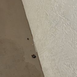 Bella Vista - Feces