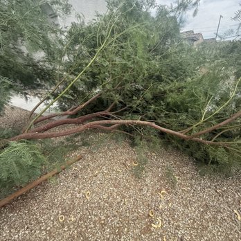 Jesus Landscaping - removing trees due to storms - Landscaping Near Me Jesus Landscaping - removing trees due to storms - Landscaping Near Me