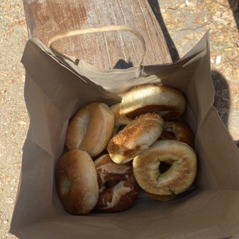 Bagel Cafe - so many good bagels! - Bagels Near Me - Isla Vista, California