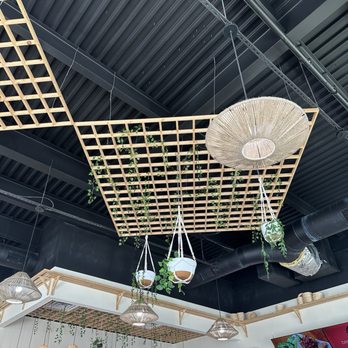 Steam Boys - Pan Asian Near Me - Madison, Alabama