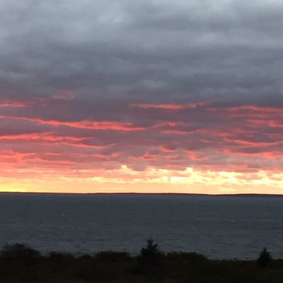 La Cuisine Robicheau by null