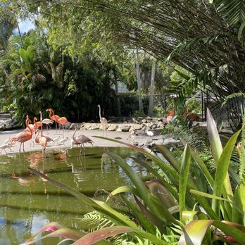 Flamingo Gardens - Botanical Gardens Near Me - Davie, Florida Flamingo Gardens - Botanical Gardens Near Me - Davie, Florida