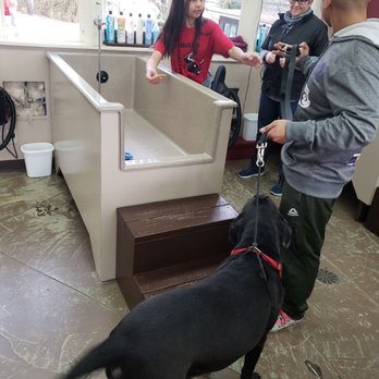 Shampooch - Great first visit! - Pet Services Near Me - Tacoma, Washington Shampooch - Great first visit! - Pet Services Near Me - Tacoma, Washington