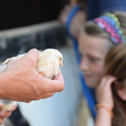 Tara Firma Farms