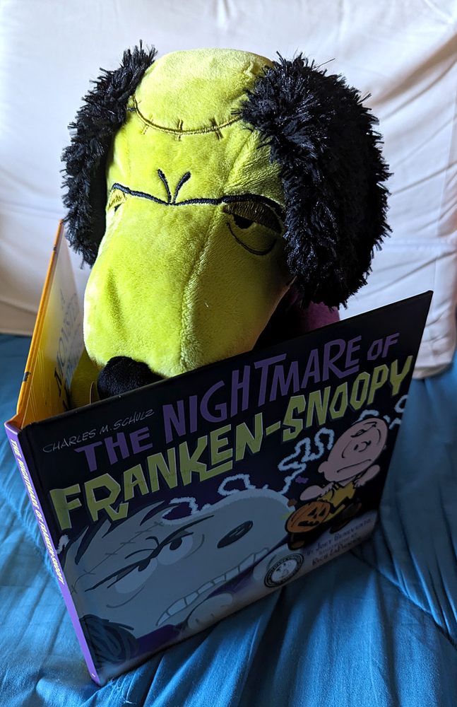 ELAMS HALLMARK Updated October 2024 12 Reviews 27230 Alicia Pkwy