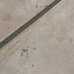 And more ants And more ants