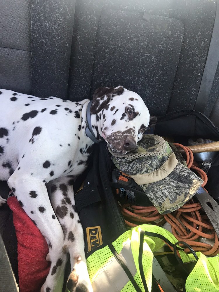 Slide of Affordable Roofing & Construction