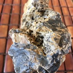 K & M Jewelers - Petrified wood