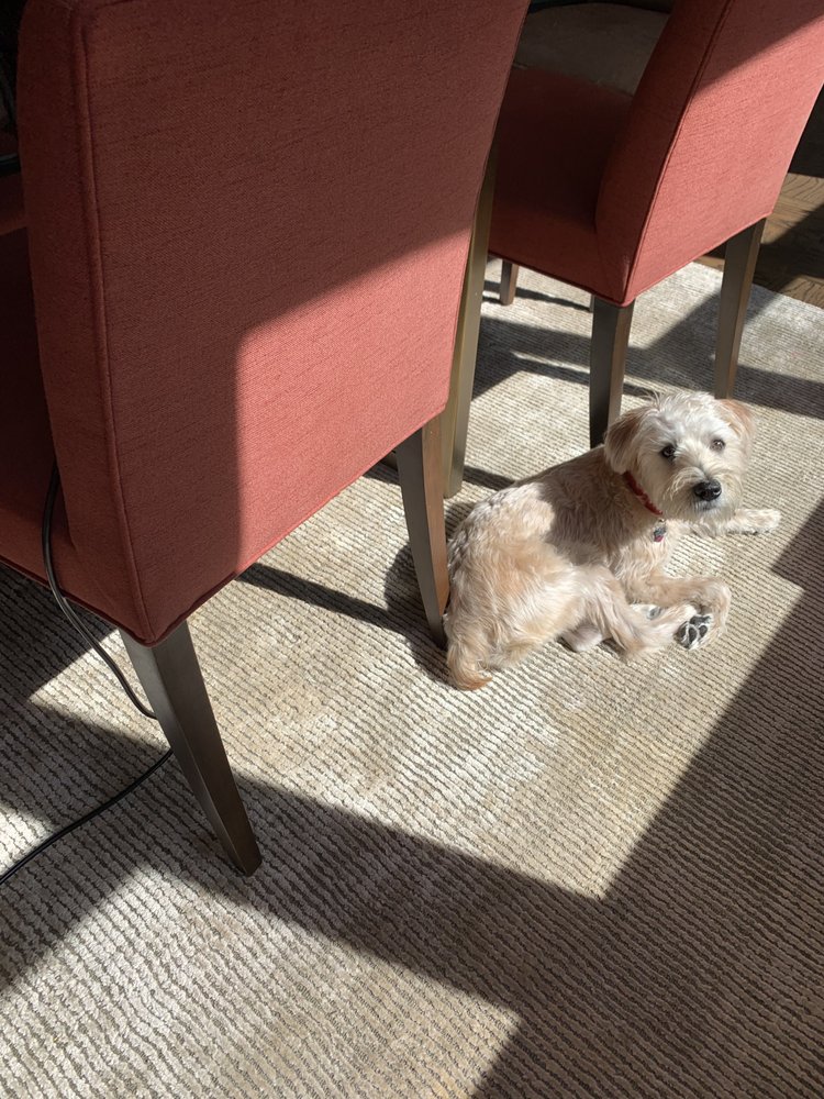 FURNITURE MEDIC Updated June 2024 19 Photos & 12 Reviews 99