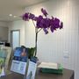 Central Dental Group