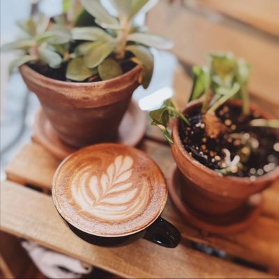 The Coffee Bar by null