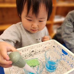 Empire Montessori Preschool - Fremont - Montessori practical life lessons are purposeful, sensorial and engaging. A baster teaches strength and control. They also clean any spills.