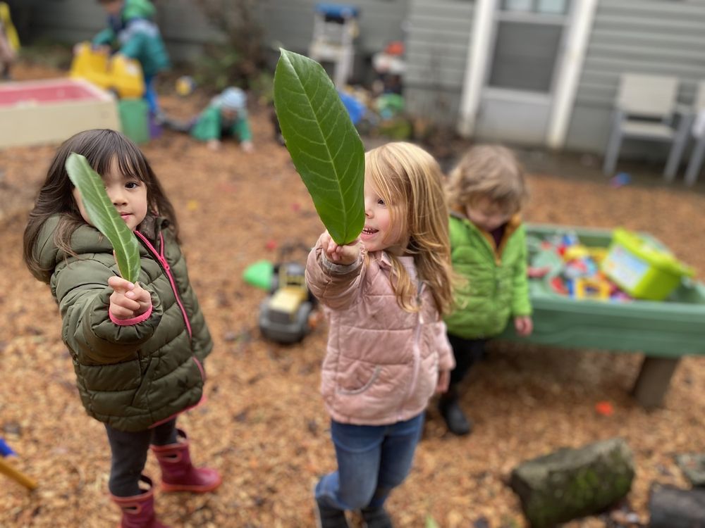 Dragonfly Preschool - childcare center in Portland, OR