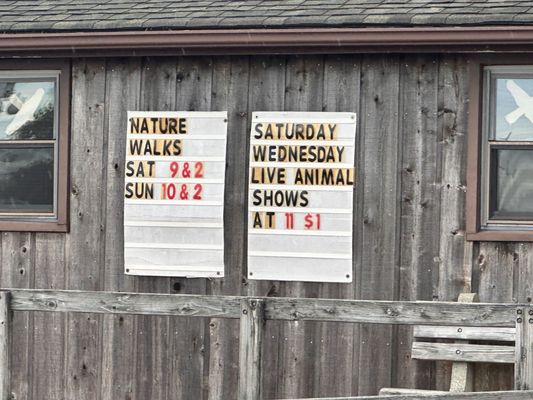 Cape May Lighthouse by null