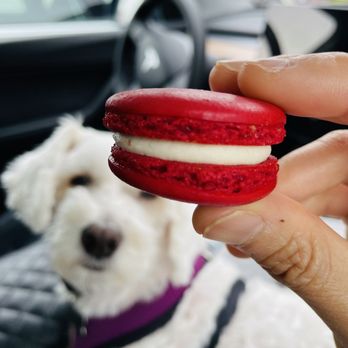 Paris Baguette - Macaroon - Bakeries Near Me - Carlsbad, California Paris Baguette - Macaroon - Bakeries Near Me - Carlsbad, California