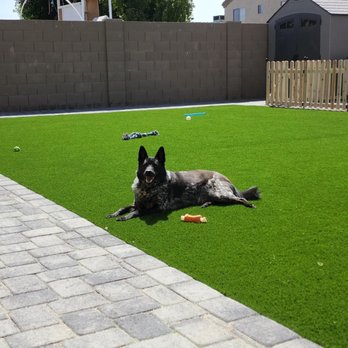 Brothers Gonzalez Landscaping - Dog enjoying new backyard renovation by Brother's Gonzalez Landscaping - Landscaping Near Me Brothers Gonzalez Landscaping - Dog enjoying new backyard renovation by Brother's Gonzalez Landscaping - Landscaping Near Me