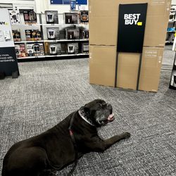 If you spend $10,000, they are pet friendly :-)