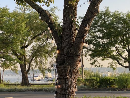 Nikkei of Peru by null