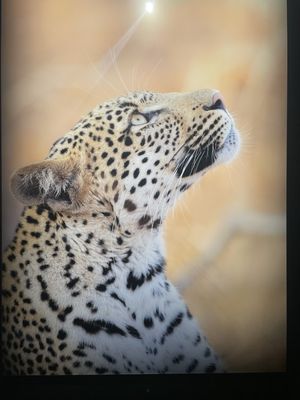 Wonders Of Wildlife National Museum & Aquarium by null