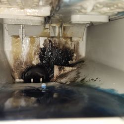 Coast Appliance Services