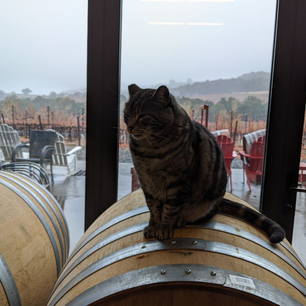 Viszlay Vineyards - Wineries Near Me - Healdsburg, California