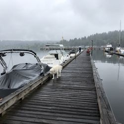Rentals on DockWA.com