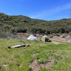 Wild Minds Retreats