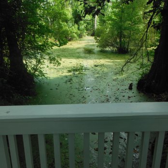 Cypress Gardens - Cypress Gardens - Bridge - Parks Near Me - Moncks Corner, South Carolina Cypress Gardens - Cypress Gardens - Bridge - Parks Near Me - Moncks Corner, South Carolina