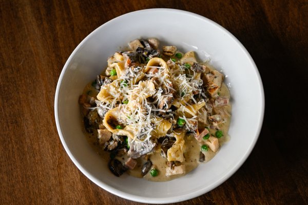 BellaBrava Tampa by null