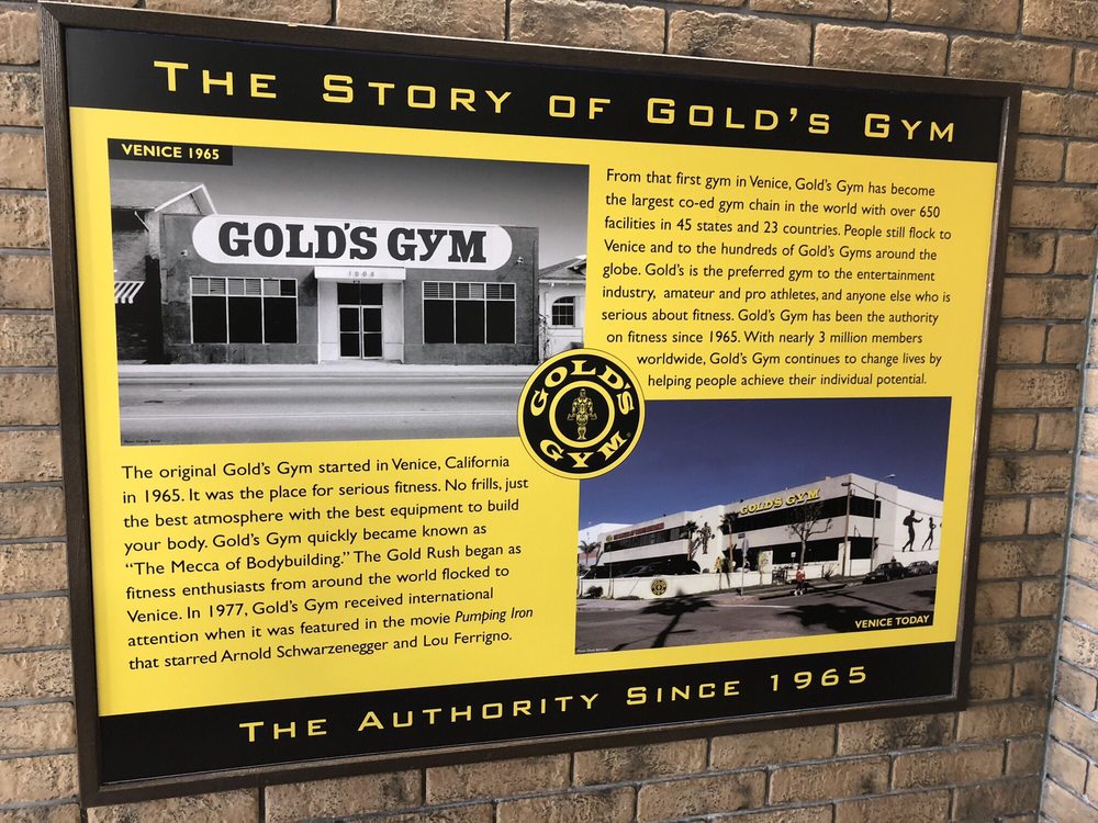 Gold's Gym Yokohama Bashamichi Pool Annex