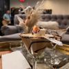 The Terrace Wine Lounge gift card