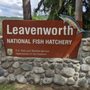 Photo of Leavenworth National Fish Hatchery