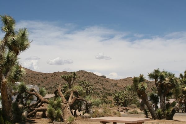Black Rock Canyon Campground by null