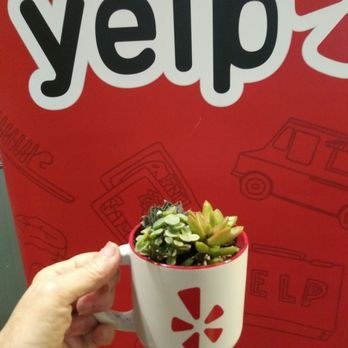 Borealis Coffee Company - My garden and YELP. yippee - Coffee Roasteries Near Me - Riverside, Rhode Island