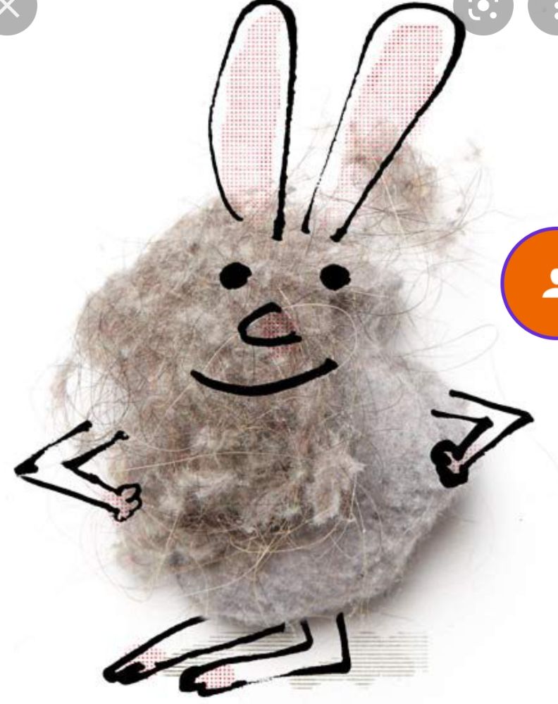 DUST BUNNIES Request a Quote South Portland, Maine Home Cleaning