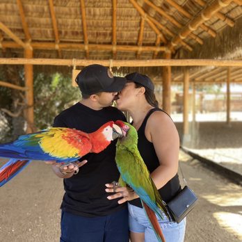 Cabo Adventures - Cabo adventure experience - Boat Tours Near Me - Cabo San Lucas, BCS