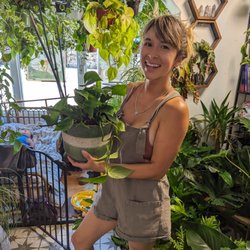 Botanical Arts Company