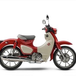 Revolution Motorsports - Revmoto - 2021 Honda Super Cub with 1 mile!