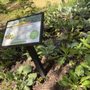 Photo of The People's Garden