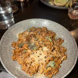 Bolognese Bolognese