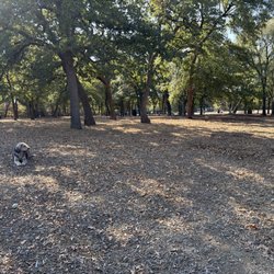 Boo Boo's Buddies Dog Park - Pretty big area.