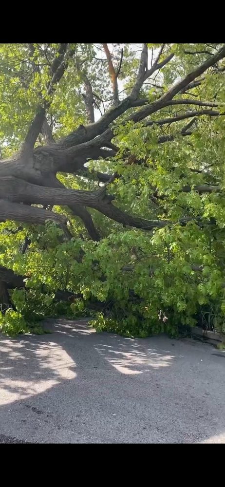 Hatcher Worx - tree service in St. Louis, MO