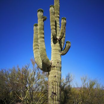 Lost Dutchman State Park - 2021.05.08. Lost Dutchman State Park - Parks Near Me - Apache Junction, Arizona