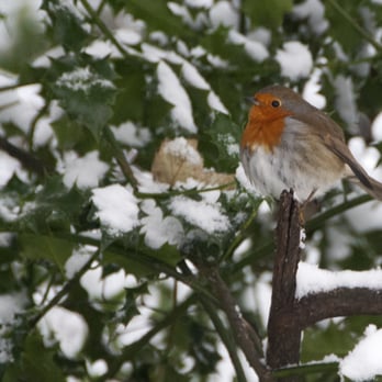Merrion Square - Parks Near Me - Dublin, D