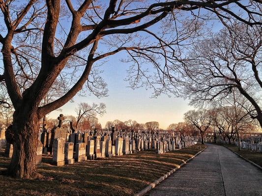 Calvary Cemetery by null