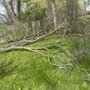 Kind Landscape Care