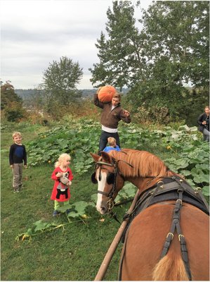 Seattle Farm by null