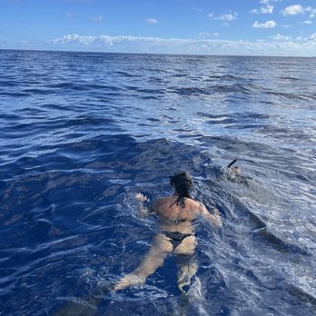 One Ocean Diving - Free Diving Near Me - Haleiwa, Hawaii One Ocean Diving - Free Diving Near Me - Haleiwa, Hawaii